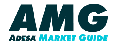 Adesa market guide logo